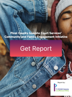 Pinal County Report Image